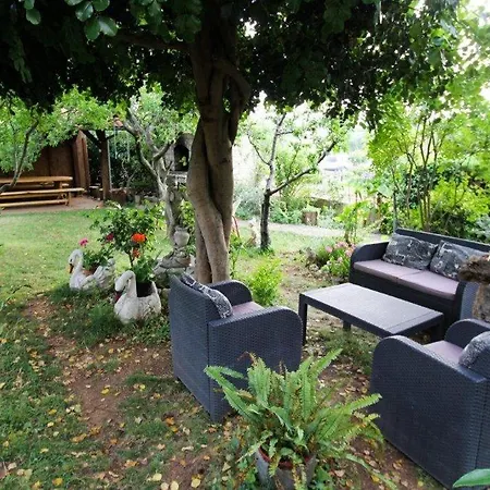 With Parking Space Sveti Filip I Jakov, Biograd - 14706 Apartman Sveti Filip i Jakov
